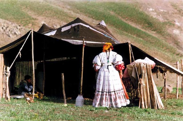 احداث مراکز عرضه مستقیم تولیدات عشایر استان تهران در فیروزکوه، دماوند و رودهن