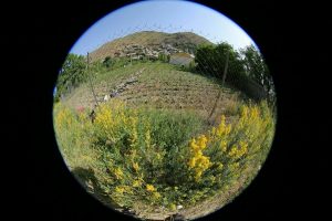 مومج دماوند