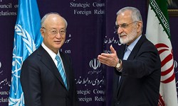 مدیر کل آژانس بین المللی اتمی