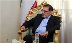 دبیر شورای عالی امنیت ملی