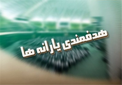 تفحص از نحوه اجرای هدفمندی یارانه‌ها
