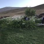 بازدید استاندار تهران از عشایر