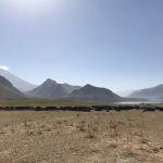 بازدید استاندار تهران از عشایر