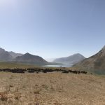 بازدید استاندار تهران از عشایر
