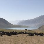 بازدید استاندار تهران از عشایر