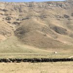 بازدید استاندار تهران از عشایر