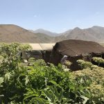 بازدید استاندار تهران از عشایر