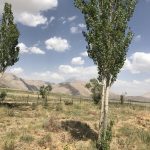 بازدید استاندار تهران از عشایر