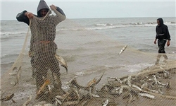 اتحادیه صادرکنندگان آبزیان