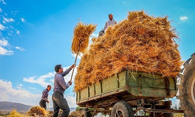 طرح "قیمت تضمینی" روی تابلوی بورس کالا