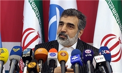 سخنگوی سازمان انرژی اتمی