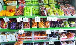 افزایش میزان صادرات ترکیه به قطر