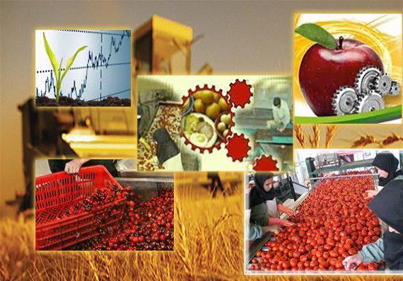 دوره آموزشی صنایع تبدیلی ،تکمیلی و بسته‌بندی محصولات کشاورزی در شهرستان دماوند