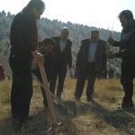 برنامه جنگلانه شهرستان دماوند