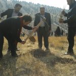 برنامه جنگلانه شهرستان دماوند