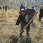 برنامه جنگلانه شهرستان دماوند