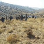 برنامه جنگلانه شهرستان دماوند