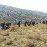 برنامه جنگلانه شهرستان دماوند