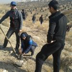 برنامه جنگلانه شهرستان دماوند