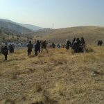 برنامه جنگلانه شهرستان دماوند