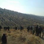 برنامه جنگلانه شهرستان دماوند