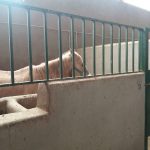 پروژه های گردشگری