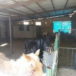 پروژه های گردشگری