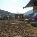 پروژه های گردشگری