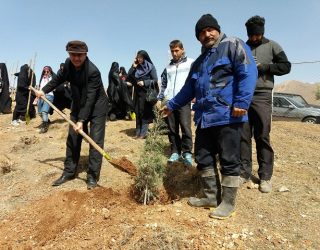 روز درختکاری