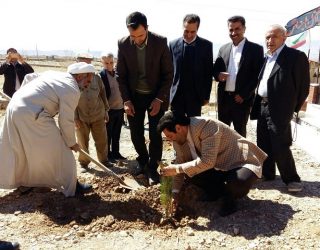 کاشت نهال
