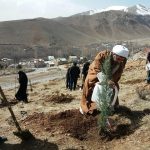 روز درختکاری