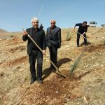 روز درختکاری