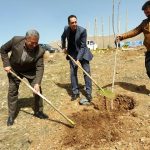روز درختکاری
