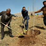روز درختکاری