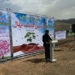 روز درختکاری