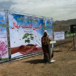 روز درختکاری