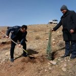 روز درختکاری