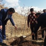 دانشگاه پیام نور دماوند
