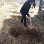 دانشگاه پیام نور دماوند