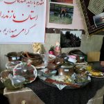 جشنواره دماوندشناسی