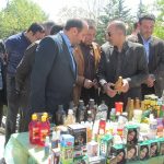 کشف قاچاق