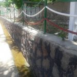 چنار شرق