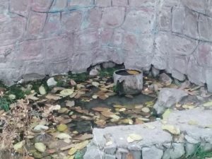 چشمه آب ترش و آب شور روستای زان در آبسرد (2)