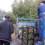 شورای زکات شهرستان دماوند (1)