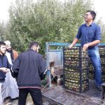 شورای زکات شهرستان دماوند (1)