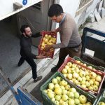 شورای زکات شهرستان دماوند (1)