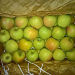 شورای زکات شهرستان دماوند (1)