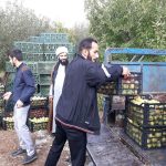 شورای زکات شهرستان دماوند (1)