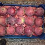 شورای زکات شهرستان دماوند (1)