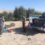 شورای زکات شهرستان دماوند (1)